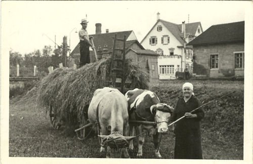 dorf3.jpg - - ohne Vermerke -